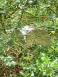 image number Birt William 006